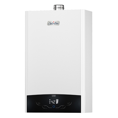 CALOREX INSTANT MODULANTE PLENUS ADVANCE 14 LP - Imagen 2